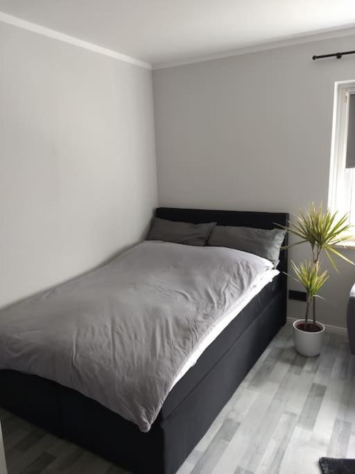 Apartment In Bremerhaven Eksteriør billede